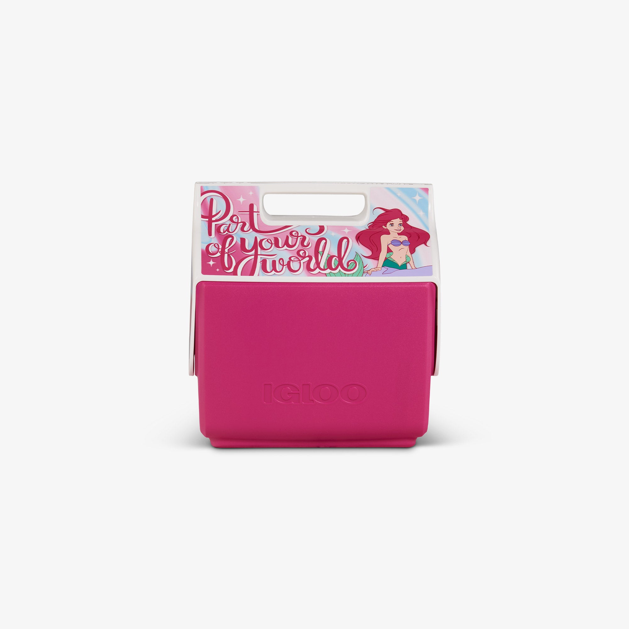 Disney Princess Blue & Pink Lunch Box