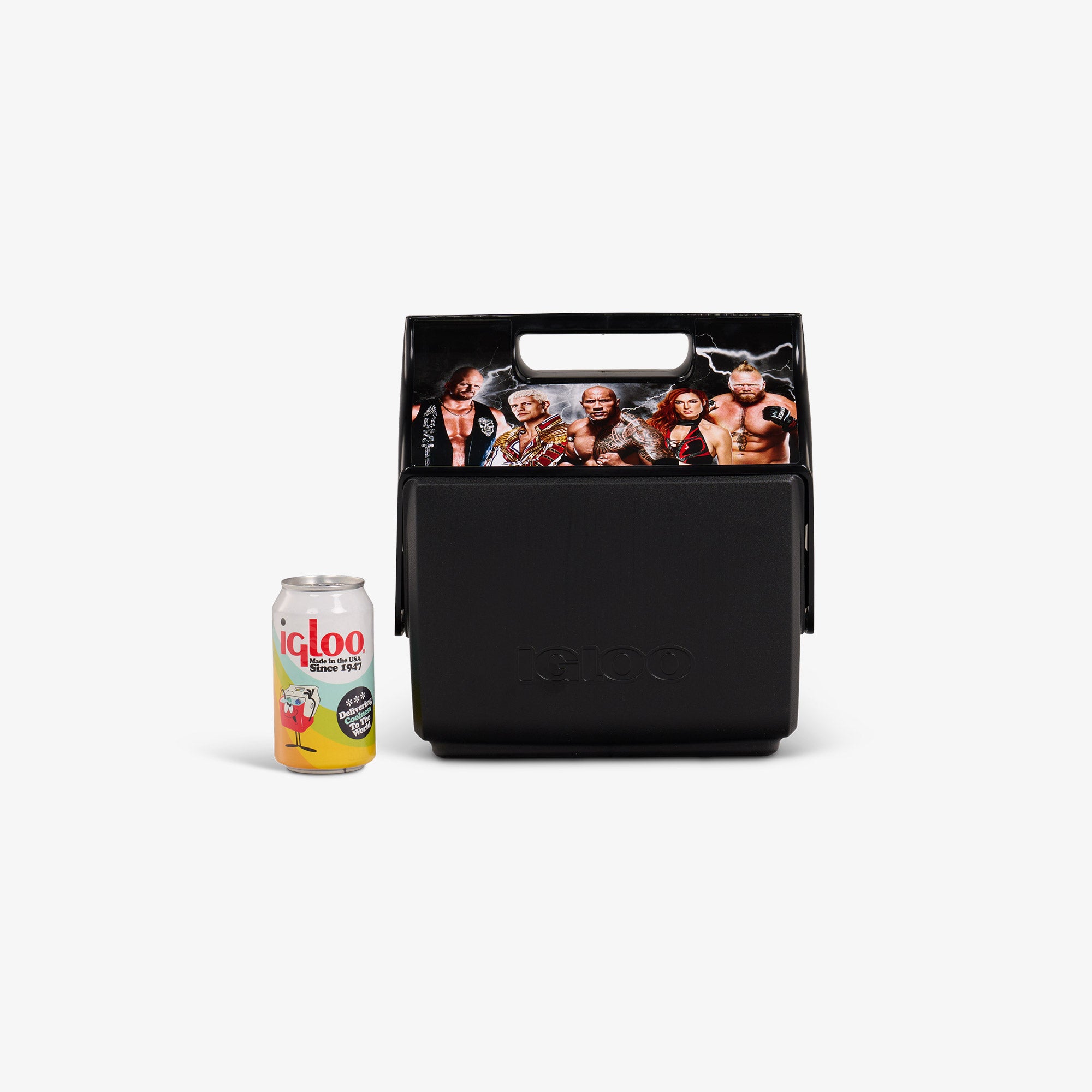 Igloo cooler hot sale lunch box