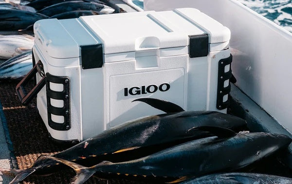 Igloo store leeward cooler