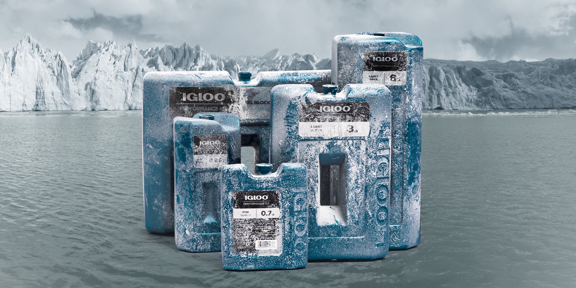 Igloo maxcold sales ice block small