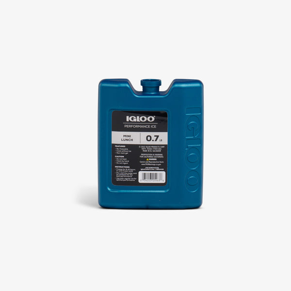 Buy Igloo Mini Cooler Ice Pack Blue