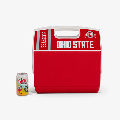 Ohio State University Plastic Cups, 24 Count for 24 Guests 