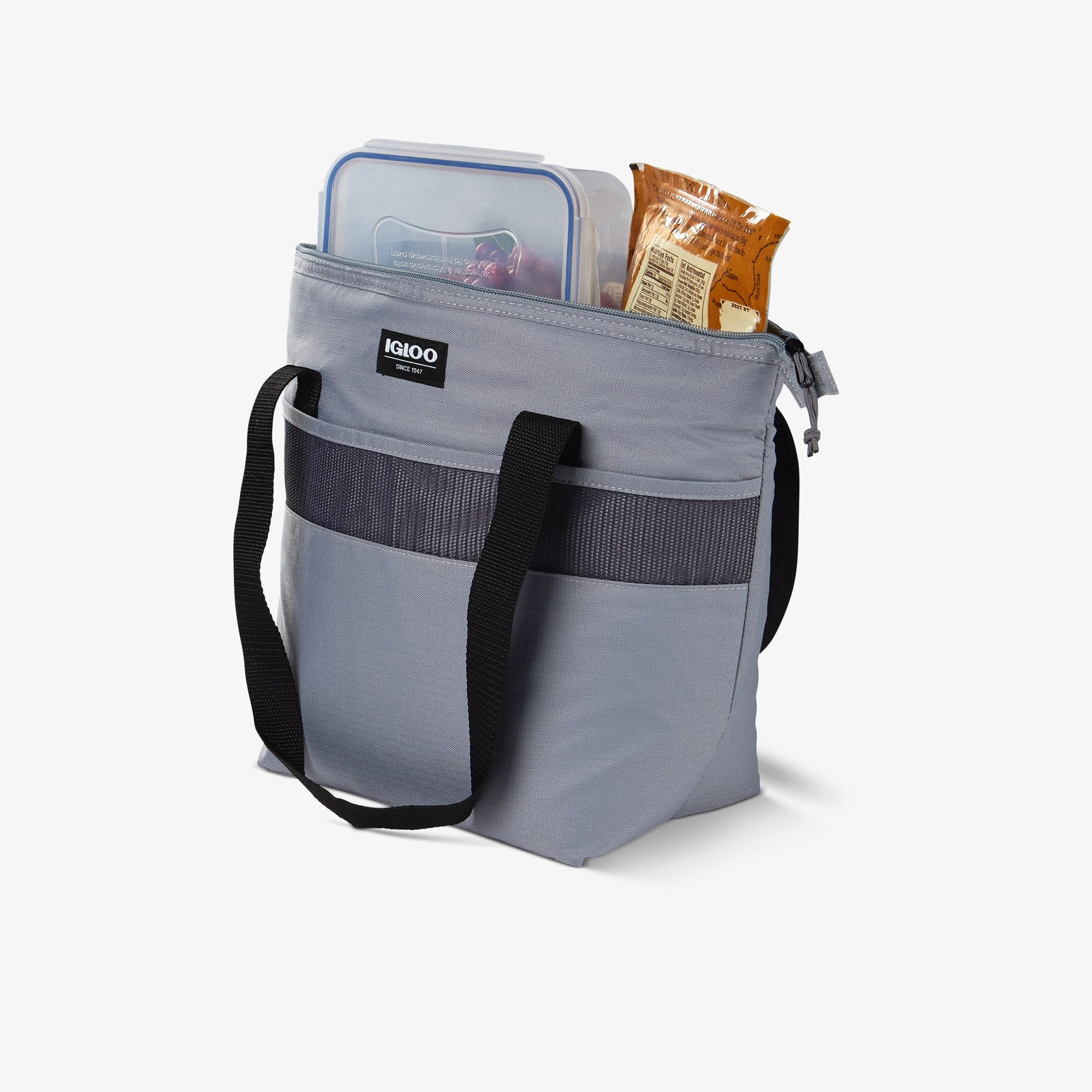 Igloo mini essential deals tote cooler bag