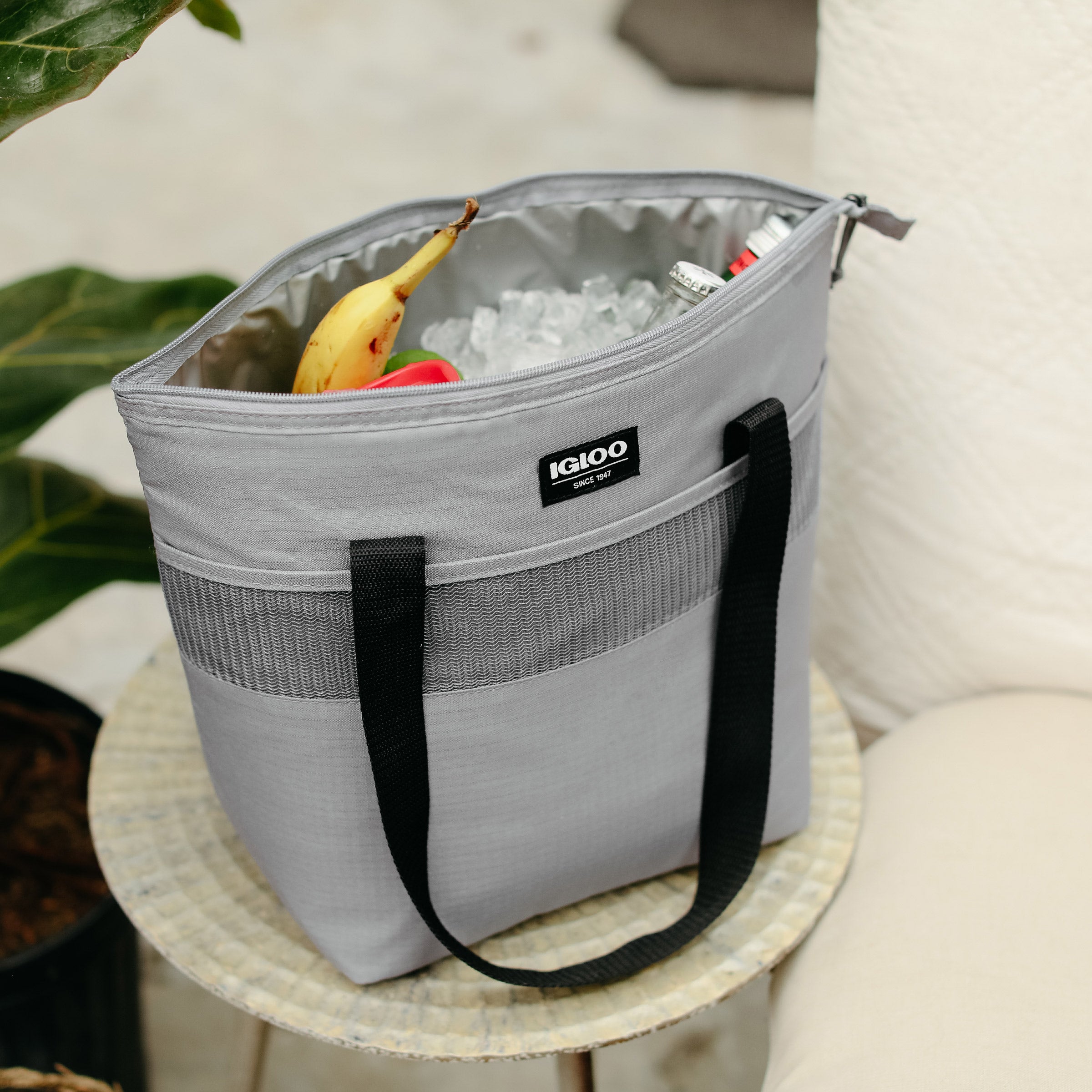 Basics Essential Tote Cooler Bag Igloo