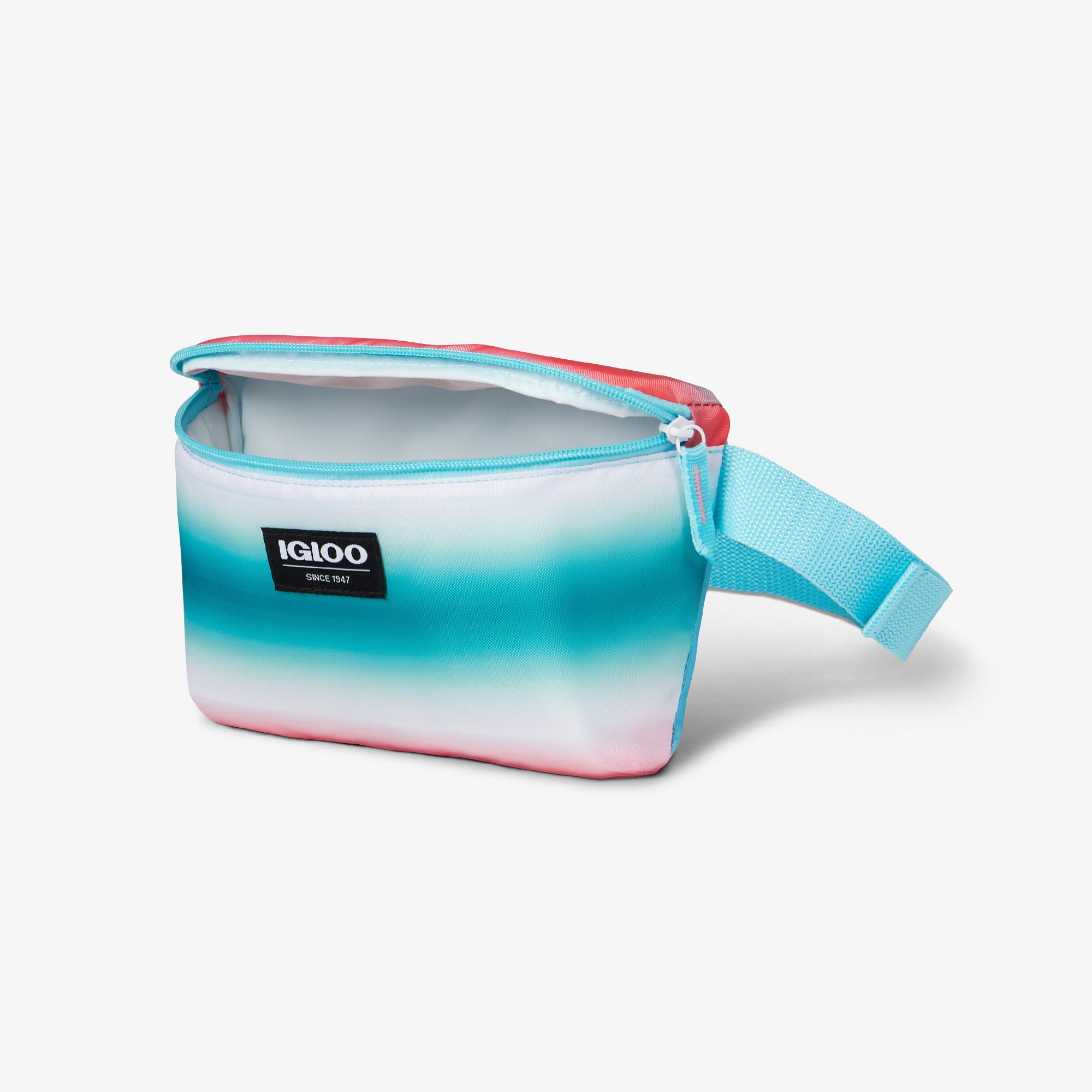 Insulated discount fanny pack